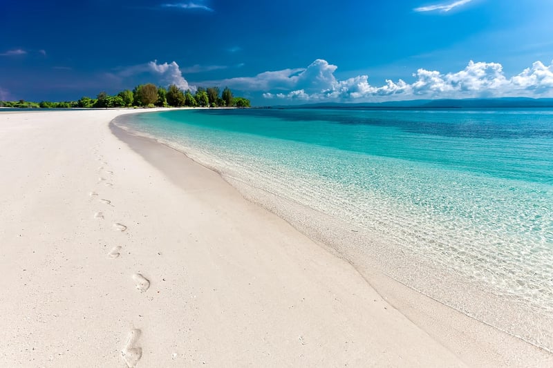 Beach Bootcamps